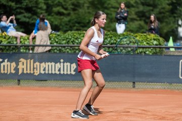 Bild 313 - BL2 DTV Hannover - TC Blau-Weiss Halle : Ergebnis: 9:0